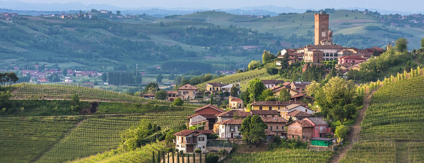 GIORNATA NEL MONFERRATO  CASALE MONCALVO CON PRANZO TIPICO Monrepos